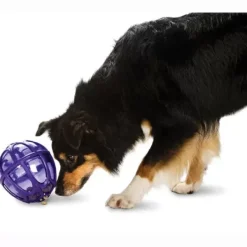 PetSafe Boule Distributrice De Nourriture Busy Buddy® Kibble Nibble< Jouets Distributeurs De Friandises
