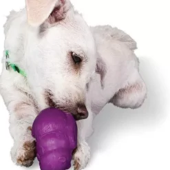 PetSafe Busy Buddy® Squirrel Dude< Jouets Distributeurs De Friandises
