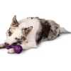 PetSafe Busy Buddy® Waggle< Jouets Distributeurs De Friandises