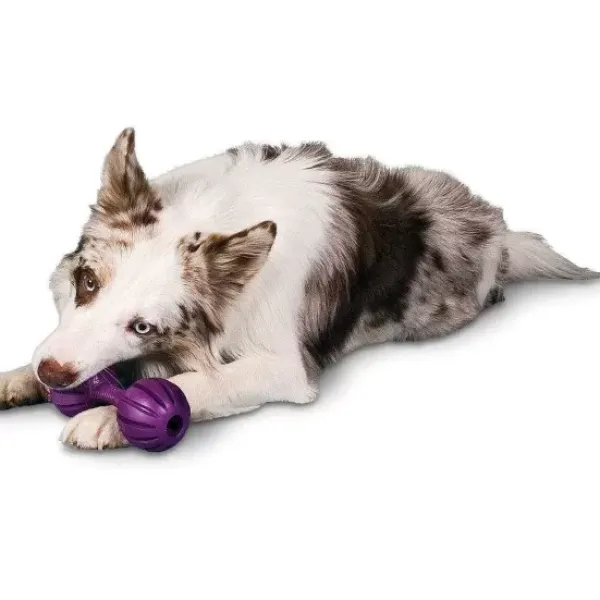 PetSafe Busy Buddy® Waggle< Jouets Distributeurs De Friandises