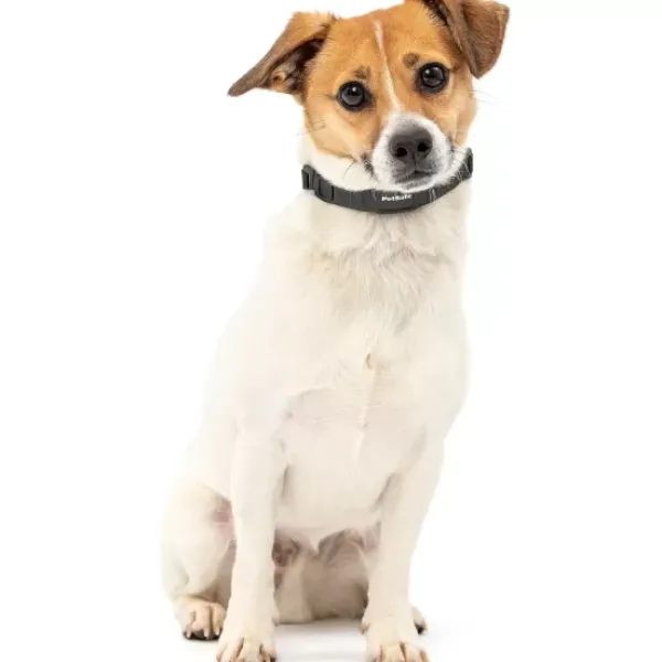 PetSafe Collier Anti-Aboiement Nanobark< Électrostatique