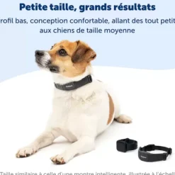PetSafe Collier Anti-Aboiement Nanobark< Électrostatique