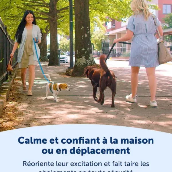 PetSafe Collier Anti-Aboiement Nanobark< Électrostatique