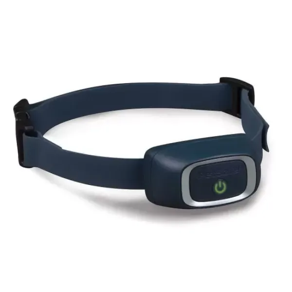 PetSafe Collier-R Cepteur Suppl Mentaire Pour Syst Me De Dressage Add-A-Dog®< Systèmes De Dressage