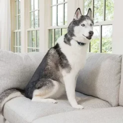 PetSafe Contrôle Des Aboiements Rechargeable< Électrostatique