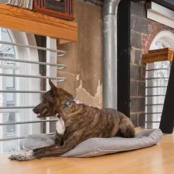 PetSafe Contrôle Des Aboiements Rechargeable< Électrostatique