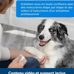 PetSafe Dispositif De Dressage Par R Compense T L Command Teach & Treat De ®< Clickers