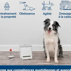PetSafe Dispositif De Dressage Par R Compense T L Command Teach & Treat De ®< Clickers