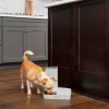 PetSafe Distributeur Automatique De Croquettes Pour 2 Repas De ®< Distributeurs De Nourriture