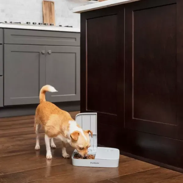 PetSafe Distributeur Automatique De Croquettes Pour 2 Repas De ®< Distributeurs De Nourriture
