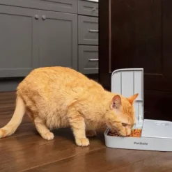 PetSafe Distributeur Automatique De Croquettes Pour 2 Repas De ®< Distributeurs De Nourriture
