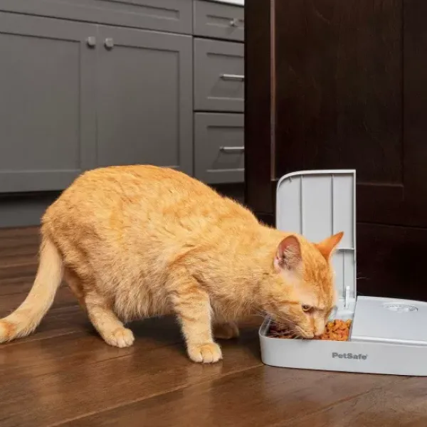 PetSafe Distributeur Automatique De Croquettes Pour 2 Repas De ®< Distributeurs De Nourriture