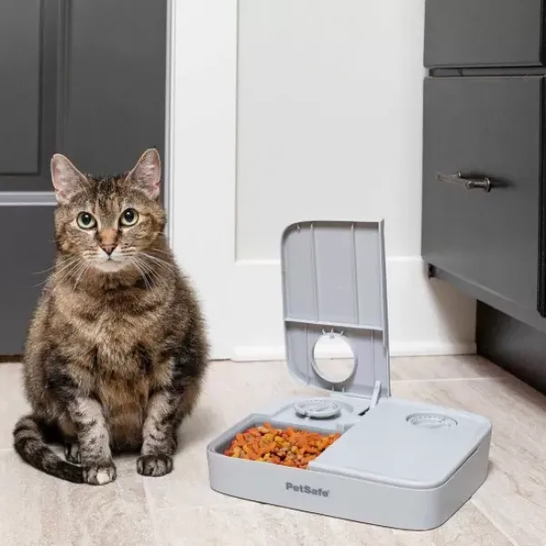 PetSafe Distributeur Automatique De Croquettes Pour 2 Repas De ®< Distributeurs De Nourriture