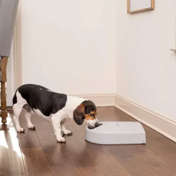 PetSafe Distributeur De Croquettes Pour Cinq Repas ®< Distributeurs De Nourriture