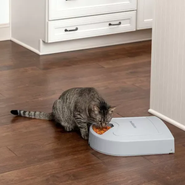 PetSafe Distributeur De Croquettes Pour Cinq Repas ®< Distributeurs De Nourriture