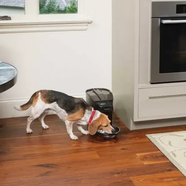 PetSafe Distributeur Digital De Nourriture Pour Animaux Domestiques Healthy Pet Simply Feed< Distributeurs De Nourriture