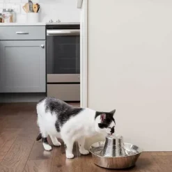 PetSafe Fontaine En Acier Inoxydable ® Pour Animaux De Compagnie Seaside< Fontaines