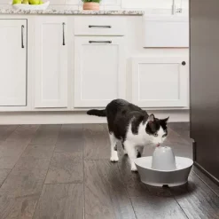 PetSafe Fontaine En C Ramique ® Pour Animaux De Compagnie Streamside< Fontaines