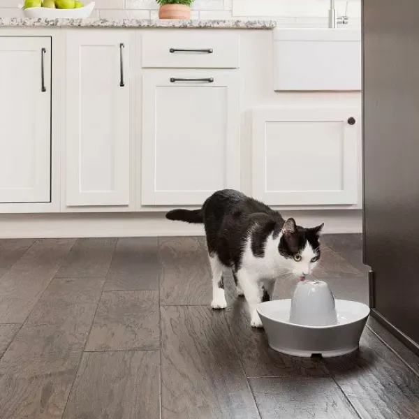 PetSafe Fontaine En C Ramique ® Pour Animaux De Compagnie Streamside< Fontaines