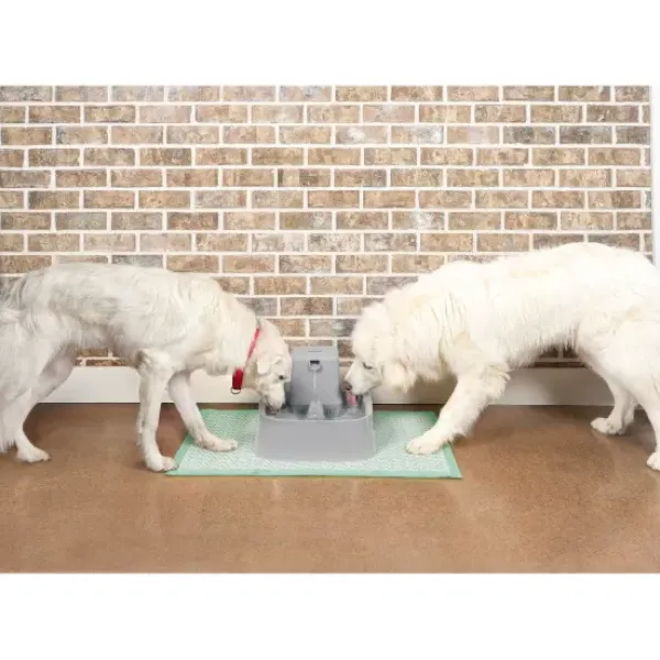 PetSafe Fontaine Pour Animaux De 7,5 Litres Drinkwell®< Fontaines