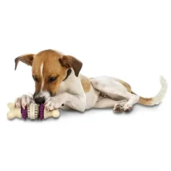 PetSafe Friandises De Forme Circulaire Pour Chiens< Jouets Pour Animaux De Compagnie