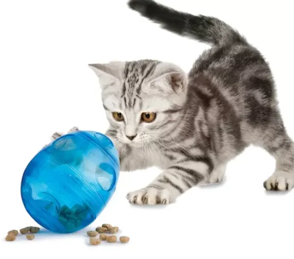 PetSafe Funkitty Egg-Cersizer< Jouets Pour Chats