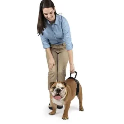PetSafe Harnais De Levage Arri Re Carelift De ®< Accès Et Mobilité