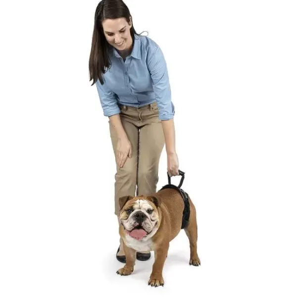 PetSafe Harnais De Levage Arri Re Carelift De ®< Accès Et Mobilité