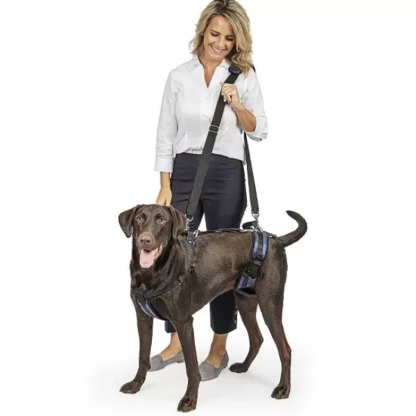 PetSafe Harnais De Levage Carelift De ®< Accès Et Mobilité