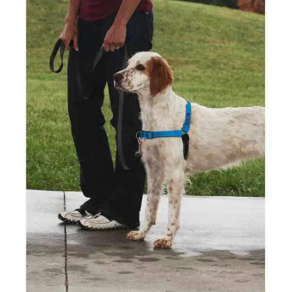 PetSafe Harnais Deluxe Easy Walk®< Colliers, Harnais Et Licols