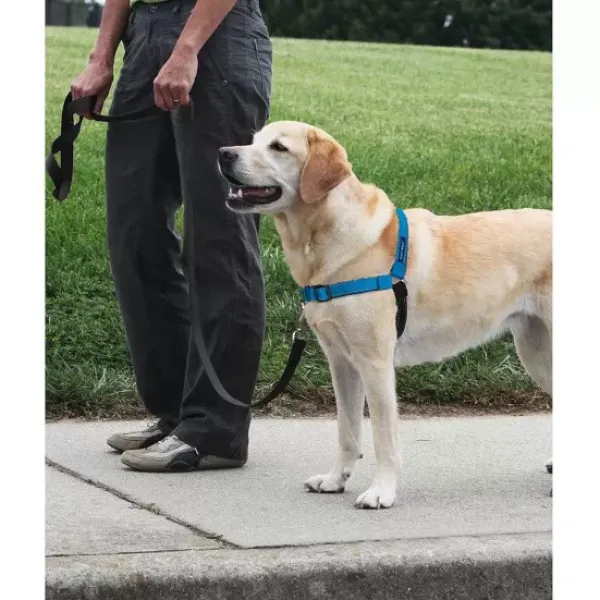 PetSafe Harnais Deluxe Easy Walk®< Colliers, Harnais Et Licols