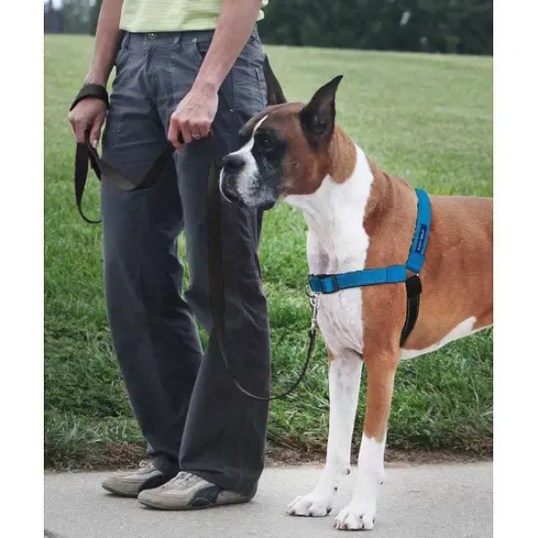 PetSafe Harnais Deluxe Easy Walk®< Colliers, Harnais Et Licols