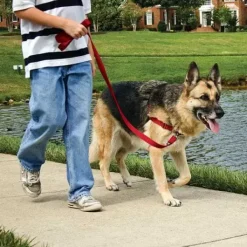 PetSafe Harnais Easy Walk®< Colliers, Harnais Et Licols