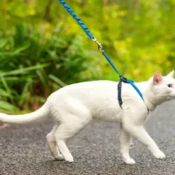 PetSafe Harnais Pour Chats Easy Walk< Colliers, Harnais Et Licols