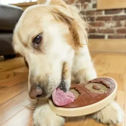 PetSafe Jouet Friandises, Steak< Jouets Distributeurs De Friandises