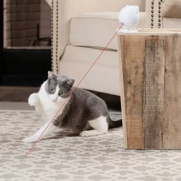 PetSafe Jouet Laser Pour Chats Dancing Dot< Jouets Pour Chats