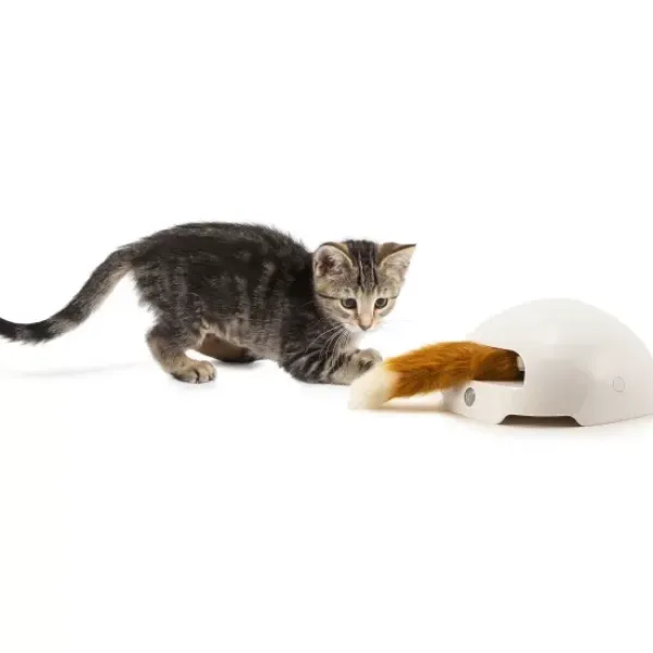 PetSafe Jouet Terrier Du Renard Jeu Casse-T Te Automatique Pour Chats< Jouets Pour Chats