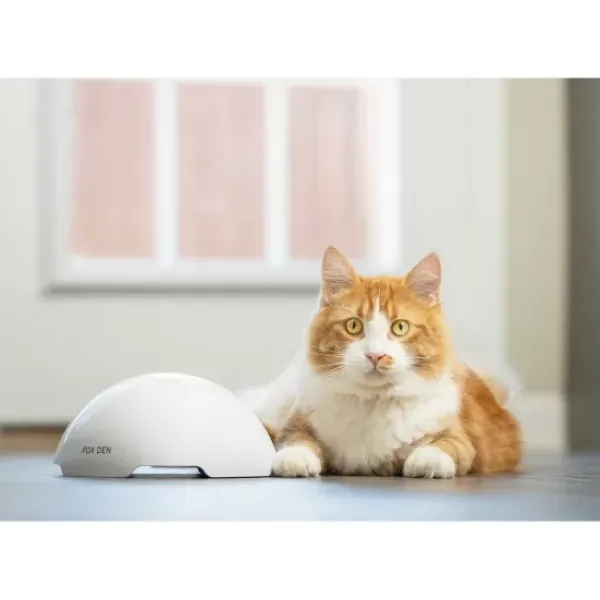 PetSafe Jouet Terrier Du Renard Jeu Casse-T Te Automatique Pour Chats< Jouets Pour Chats