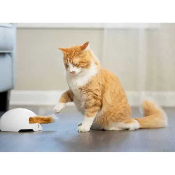 PetSafe Jouet Terrier Du Renard Jeu Casse-T Te Automatique Pour Chats< Jouets Pour Chats