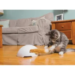 PetSafe Jouet Terrier Du Renard Jeu Casse-T Te Automatique Pour Chats< Jouets Pour Chats
