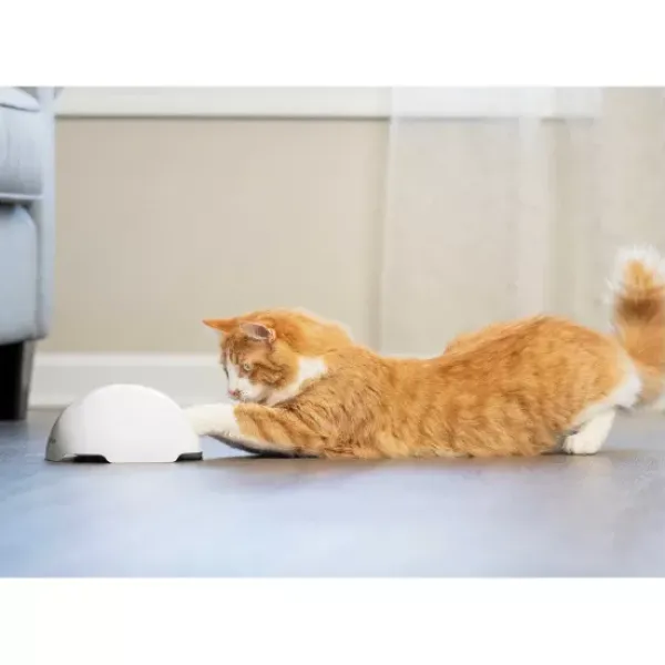 PetSafe Jouet Terrier Du Renard Jeu Casse-T Te Automatique Pour Chats< Jouets Pour Chats