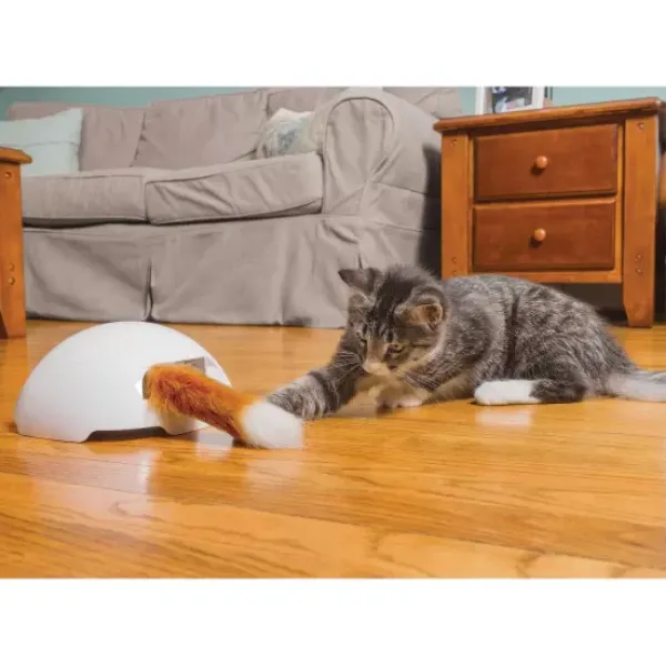 PetSafe Jouet Terrier Du Renard Jeu Casse-T Te Automatique Pour Chats< Jouets Pour Chats