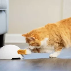 PetSafe Jouet Terrier Du Renard Jeu Casse-T Te Automatique Pour Chats< Jouets Pour Chats