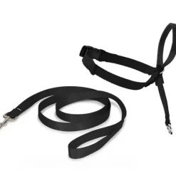 PetSafe Licol Easy Walk®< Colliers, Harnais Et Licols