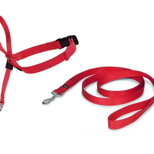 PetSafe Licol Easy Walk®< Colliers, Harnais Et Licols