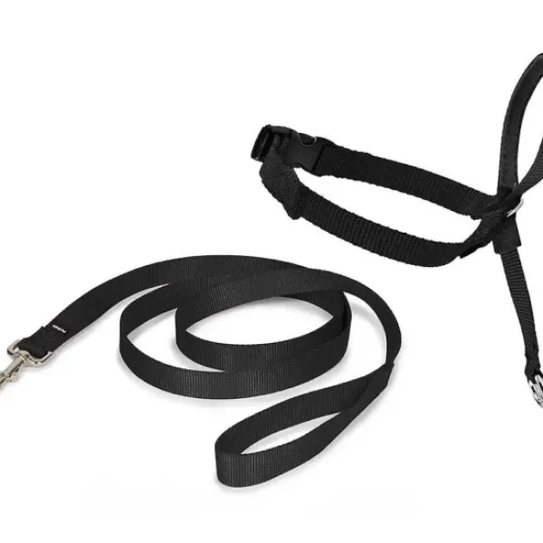 PetSafe Licol Easy Walk®< Colliers, Harnais Et Licols