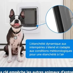 PetSafe Porte Connect E Pour Animaux Smartdoor< Gros Chats/Petits Chiens