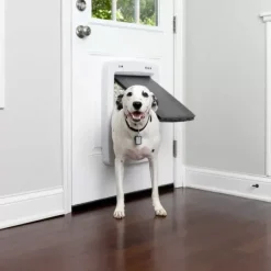 PetSafe Porte Connect E Pour Animaux Smartdoor< Gros Chats/Petits Chiens