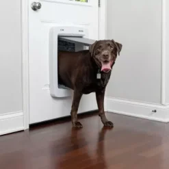 PetSafe Porte Connect E Pour Animaux Smartdoor< Gros Chats/Petits Chiens