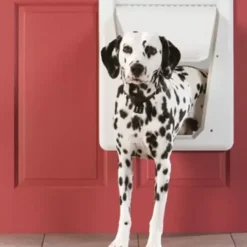 PetSafe Porte Lectronique Pour Animaux Smartdoor (Grand)< Chiens Moyens